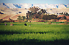 agrandir l'image